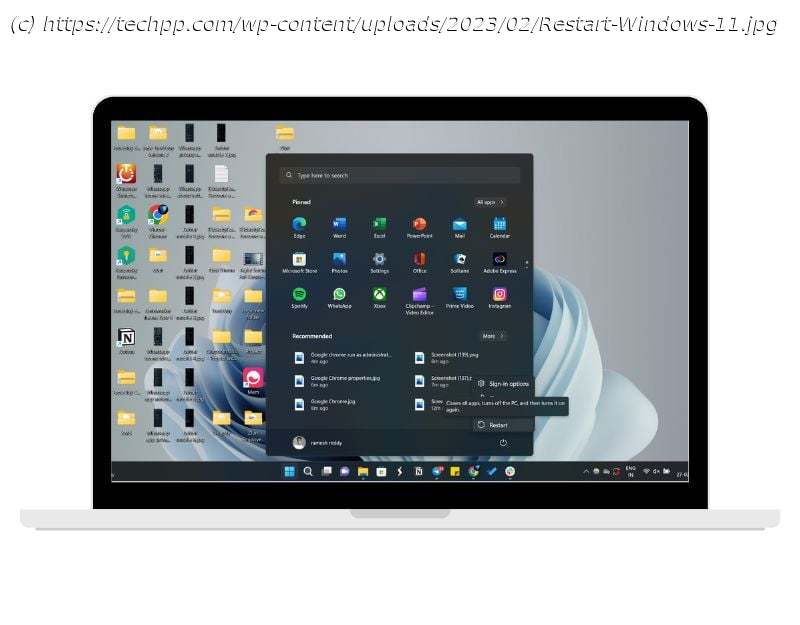 13 Proven Ways to Fix Google Chrome Crashing on Windows 11 [In 2023 ...