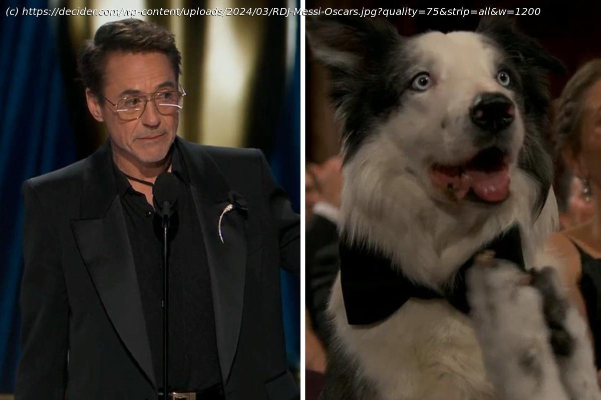 Robert Downey Jr. wins 2024 Oscar for 'Oppenheimer,' earning applause