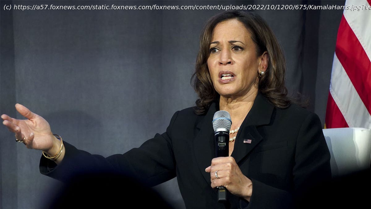 Kamala Harris comes knives out against Trump in first speech since ...