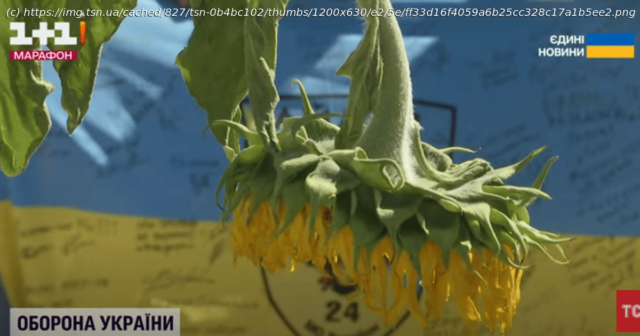 thumb530bd3bd33a55fabbcbf1743cac4ad4e.PNG