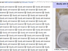 The Wikipedia Page on "Brain Rot" Is Protected Until 2026 Due to Extensive Vandalism