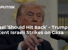 Israel 'Should Hit Back' – Trump on Recent Israeli Strikes on Gaza