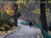 После дождей придет потепление: какой будет погода на этой неделе