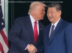 Trump verkündet Einigung mit Xi Jinping über seltene Erden
