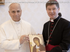 Папа Лев XIV зустрівся з житомирським єпископом Віталієм Кривицьким і пообіцяв сприяти завершенню війни в Україні