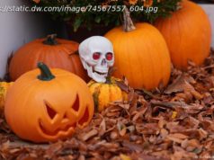 Wszystkich Świętych, Zaduszki, Halloween – co je łączy?