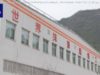 中国 日本の技術導入で抹茶の量産化進む 世界的ブーム受け