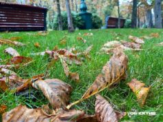 Сыро и облачно: прогноз погоды в Харькове и области на 29 октября