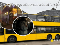 "Маршрутка, як собача будка". Новий автобус в Києві розвеселив українців