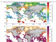 洋上再エネ、2050年に必要な世界電力3割を確保可能 太陽光や風力