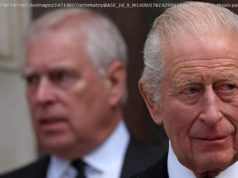 „Diese Monster verfolgen“: Bruder von Epstein-Opfer fordert von König Charles Druck auf Trump