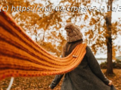 Серед осені знову настане весна: синоптики повідомили, якою погодою здивує листопад