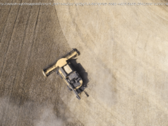 Ціни на ячмінь у листопаді — скільки треба віддати за тонну